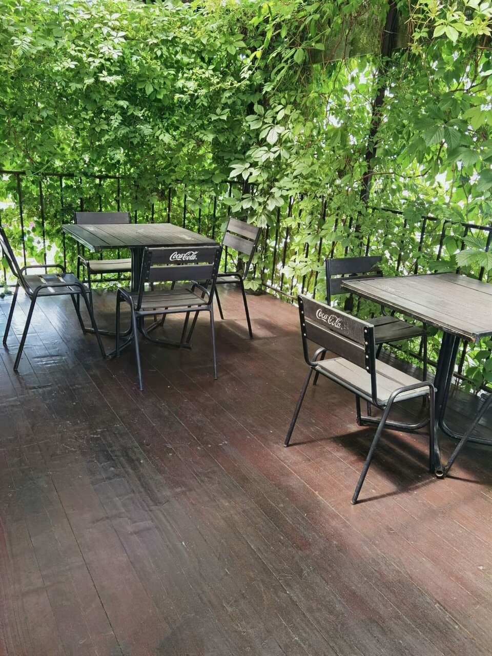 Гостиница Ася Анапа-37