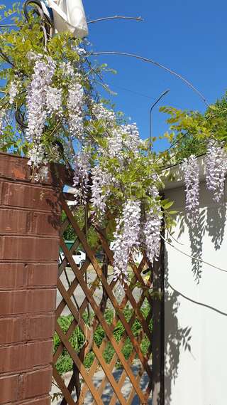 Гостиница Ася Анапа-0